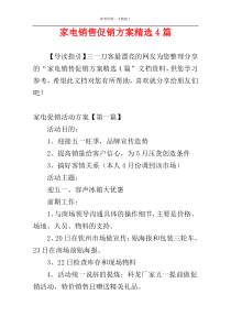 家电销售促销方案精选4篇