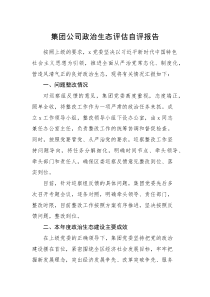 自评报告集团公司政治生态评估自评报告范文企业工作汇报总结