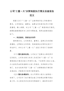 自查报告公司三重一大决策制度执行情况自查报告范文集团企业工作汇报总结