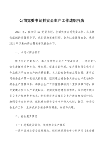 总结报告公司党委书记抓安全生产工作述职报告范文集团企业工作汇报总结