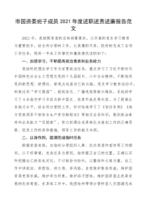 个人述职2021年度述职述责述廉报告个人工作总结