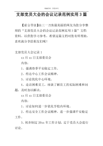 支部党员大会的会议记录范例实用3篇