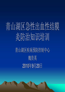 急性出血性结膜炎防治知识培训