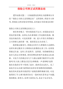 保险公司转正试用期总结