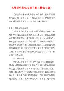 民族团结具体实施方案（精选5篇）