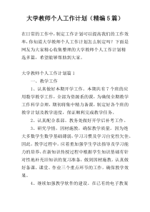 大学教师个人工作计划（精编5篇）