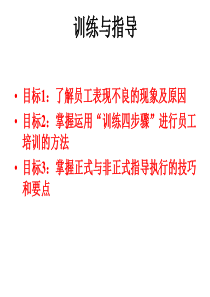 成功的训练与指导培训