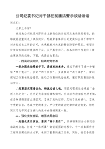 廉政谈话公司纪委书记对干部任前廉洁警示谈话讲话