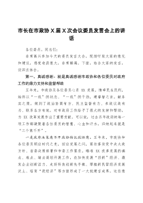 市长在市政协X届X次会议委员发言会上的讲话