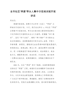 培训讲话全市社区两委带头人集中示范培训班开班仪式讲话范文市级社区党组织书记主任负责人