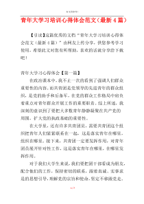 青年大学习培训心得体会范文（最新4篇）