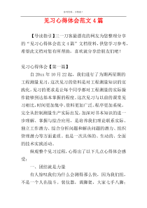 见习心得体会范文4篇