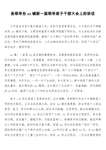 县领导在xx镇新一届领导班子干部大会上的讲话