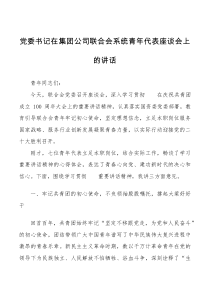 党委书记在集团公司联合会系统青年代表座谈会上的讲话范文企业青年干部年轻干部