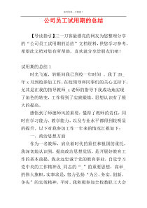 公司员工试用期的总结