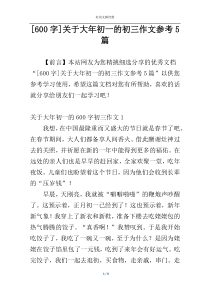 [600字]关于大年初一的初三作文参考5篇