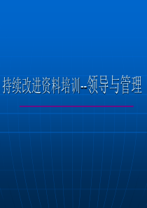 持续改进资料培训--领导与管理