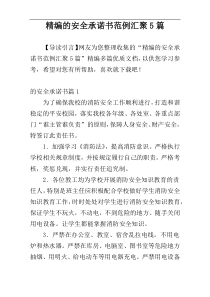 精编的安全承诺书范例汇聚5篇