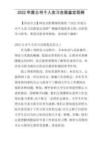 2022年度公司个人实习自我鉴定范例