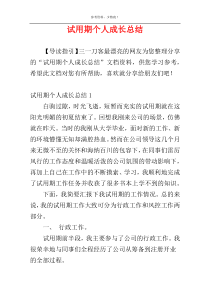 试用期个人成长总结