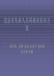 政府再就业培训方案