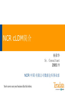 数据模型培训3--NCR_cLDM简介