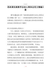 思政课实践教学总结心得体会范文精编5篇