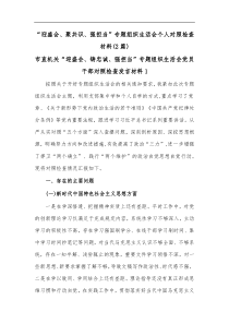 2篇迎盛会聚共识强担当专题组织生活会个人对照检查材料