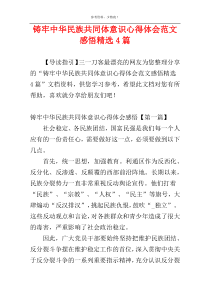 铸牢中华民族共同体意识心得体会范文感悟精选4篇