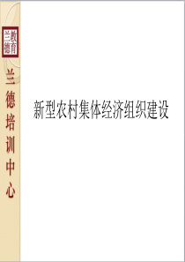 新型农村集体经济组织建设干部培训