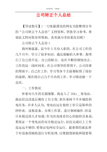 公司转正个人总结