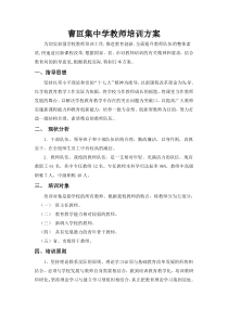 曹叵集中学教师培训方案