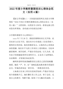 2022年度小学教师暑期培训心得体会范文（实用4篇）