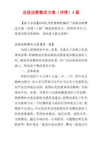 巡视巡察整改方案（详情）4篇