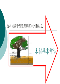 木材基本常识(大型台资厂技术员培训手册1)