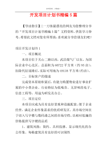 开发项目计划书精编5篇