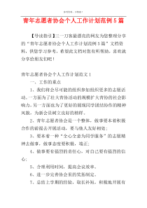 青年志愿者协会个人工作计划范例5篇