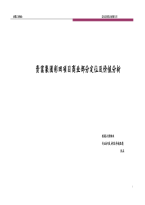 【房地产精品文档】资富集团彩田项目商业部分定位及价值分析