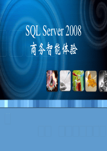 SQL2008商务智能74