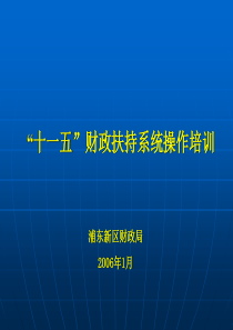 浦东新区十一五财政扶持系统培训资料