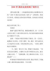 [600字]我在这里发现了美作文