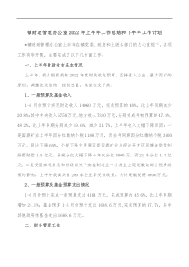 镇财政管理办公室2022年上半年工作总结和下半年工作计划