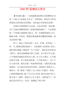 [500字]足球达人作文