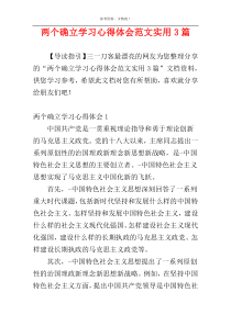 两个确立学习心得体会范文实用3篇