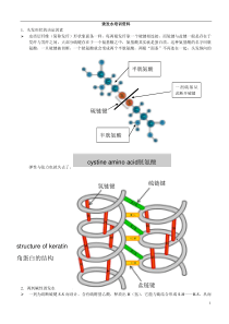 烫发水培训资料