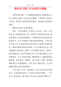 教师见习期工作总结范文精编