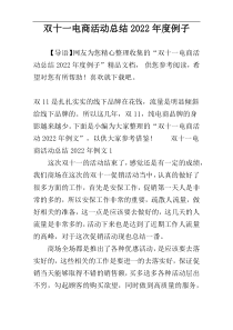 双十一电商活动总结2022年度例子