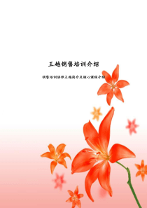 王越讲师简介