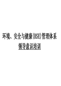 环境安全与健康(HSE)管理体系领导意识培训(ppt46)