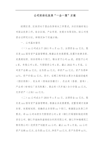 公司实体化改革一企一策方案